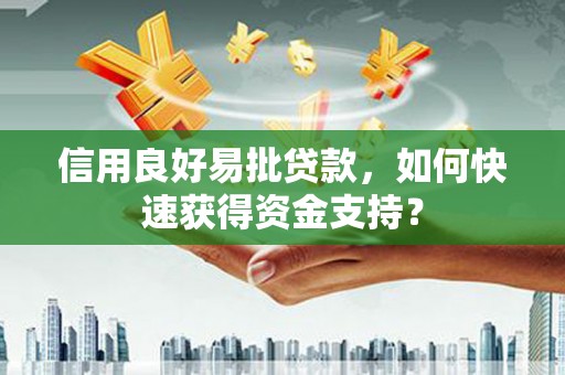 西林信用良好易批贷款，如何快速获得资金支持？