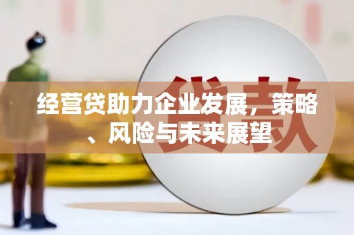 西林经营贷助力企业发展，策略、风险与未来展望