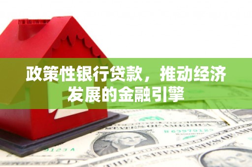 西林政策性银行贷款，推动经济发展的金融引擎