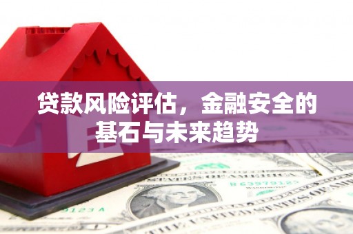 西林贷款风险评估，金融安全的基石与未来趋势