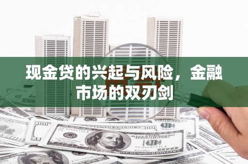 西林现金贷的兴起与风险，金融市场的双刃剑