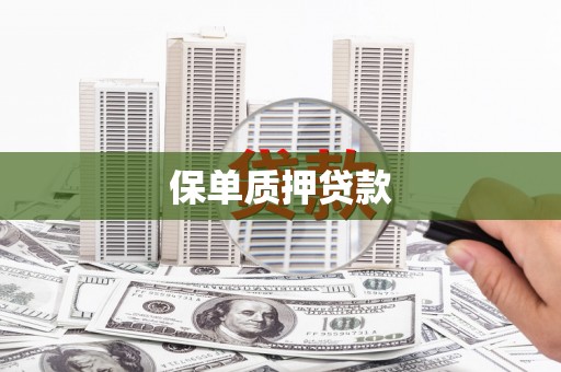 西林保单质押贷款