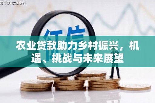 西林农业贷款助力乡村振兴，机遇、挑战与未来展望