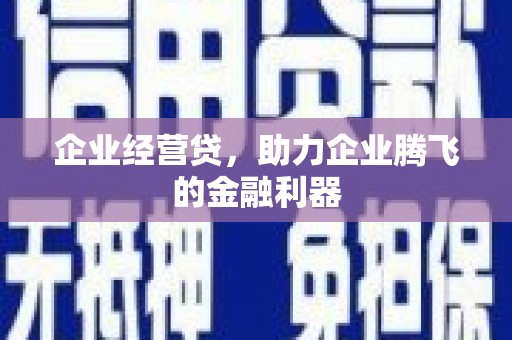 西林企业经营贷，助力企业腾飞的金融利器