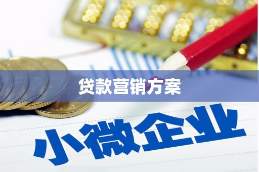 西林贷款营销方案