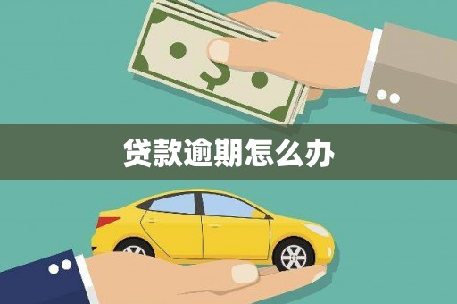西林贷款逾期怎么办