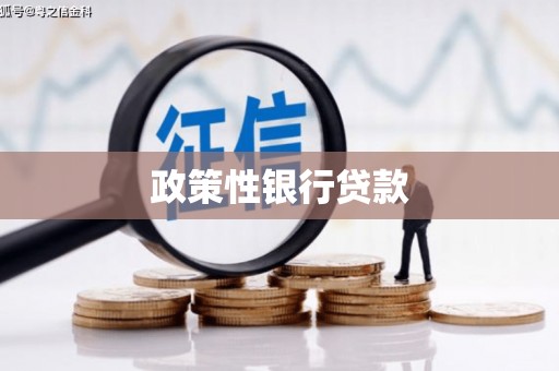 西林政策性银行贷款