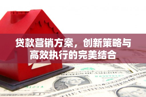 西林贷款营销方案，创新策略与高效执行的完美结合