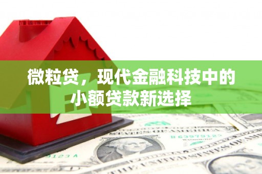 西林微粒贷，现代金融科技中的小额贷款新选择