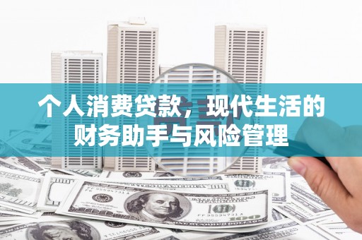 西林个人消费贷款，现代生活的财务助手与风险管理