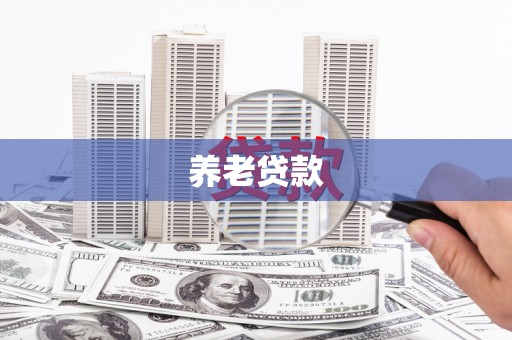 西林养老贷款