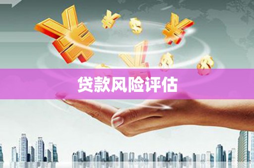 西林贷款风险评估