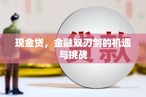 西林现金贷，金融双刃剑的机遇与挑战