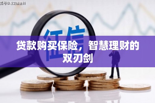 西林贷款购买保险，智慧理财的双刃剑