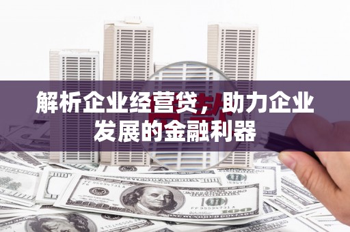 西林解析企业经营贷，助力企业发展的金融利器