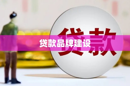 西林贷款品牌建设