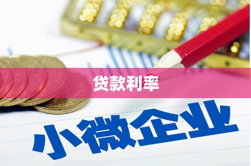 西林贷款利率