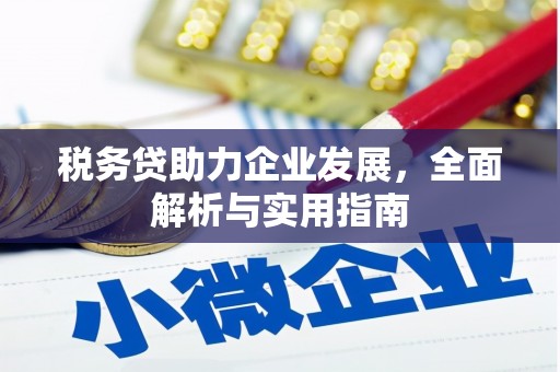 西林税务贷助力企业发展，全面解析与实用指南