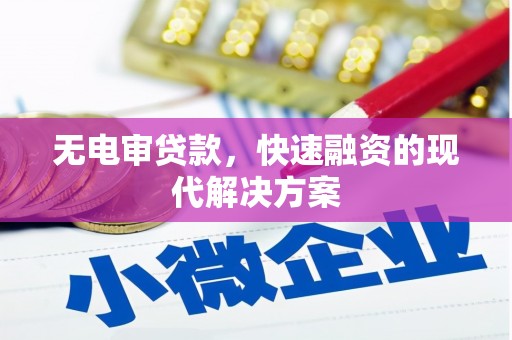 西林无电审贷款，快速融资的现代解决方案