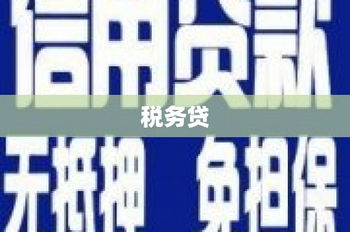 西林税务贷