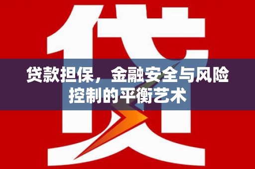 西林贷款担保，金融安全与风险控制的平衡艺术