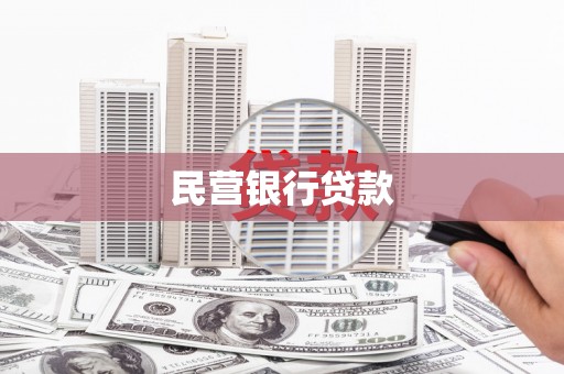 西林民营银行贷款