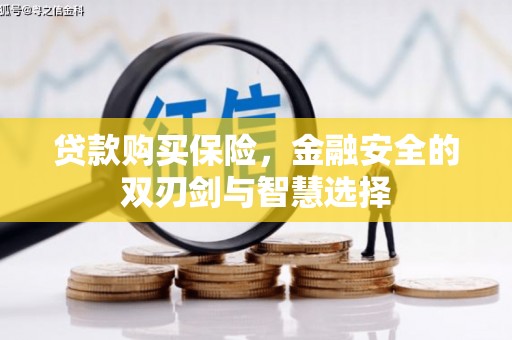 西林贷款购买保险，金融安全的双刃剑与智慧选择