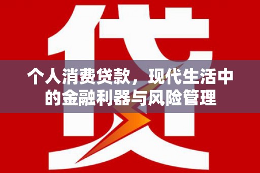 西林个人消费贷款，现代生活中的金融利器与风险管理