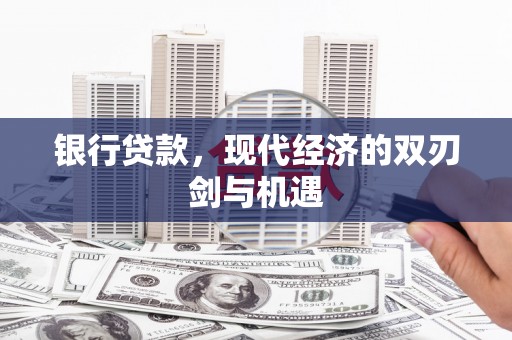 西林银行贷款，现代经济的双刃剑与机遇