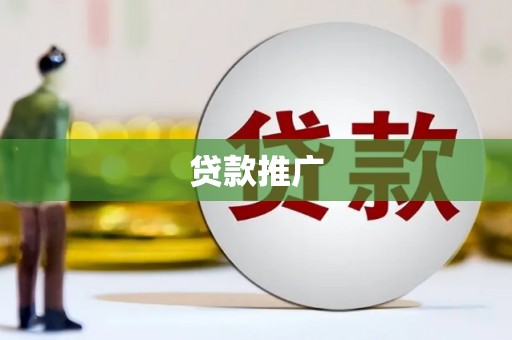 西林贷款推广