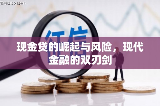 西林现金贷的崛起与风险，现代金融的双刃剑
