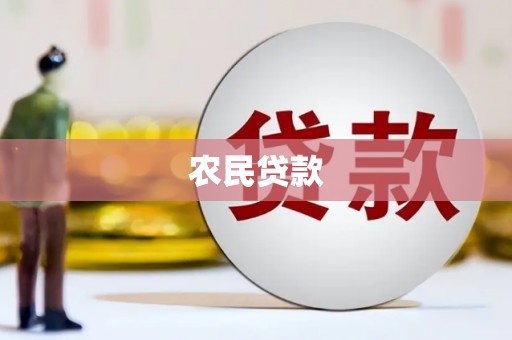 西林农民贷款
