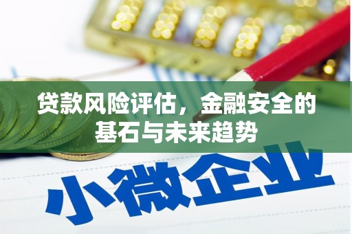 西林贷款风险评估，金融安全的基石与未来趋势