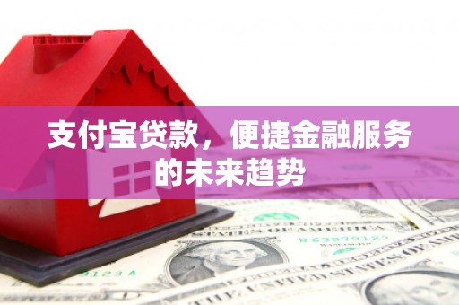 西林支付宝贷款，便捷金融服务的未来趋势