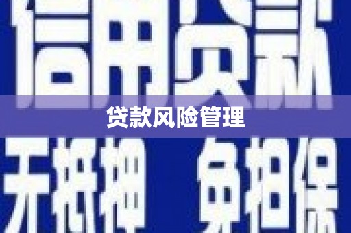 西林贷款风险管理