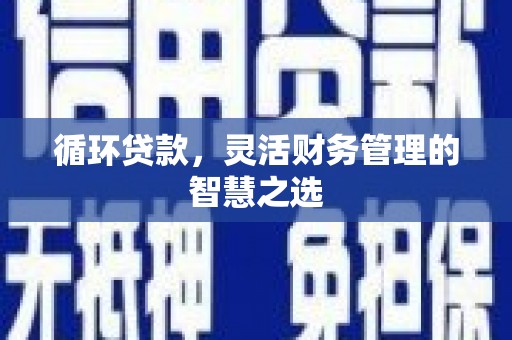 西林循环贷款，灵活财务管理的智慧之选
