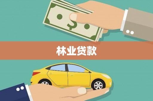 西林林业贷款
