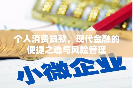 西林个人消费贷款，现代金融的便捷之选与风险管理