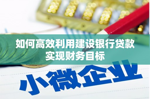 西林如何高效利用建设银行贷款实现财务目标