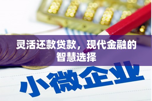 西林灵活还款贷款，现代金融的智慧选择