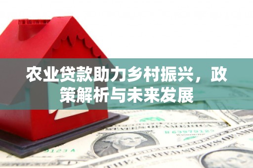 西林农业贷款助力乡村振兴，政策解析与未来发展