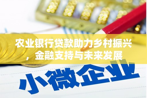 西林农业银行贷款助力乡村振兴，金融支持与未来发展