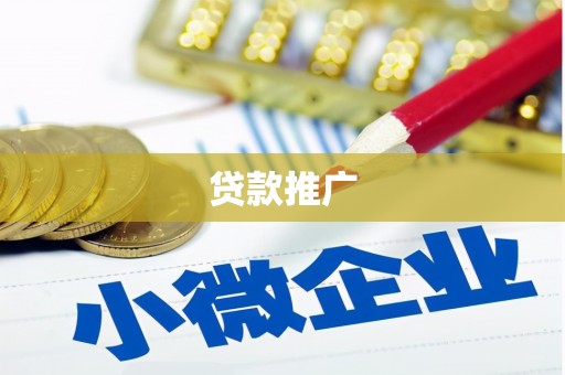 西林贷款推广