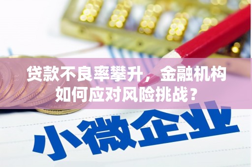 西林贷款不良率攀升，金融机构如何应对风险挑战？