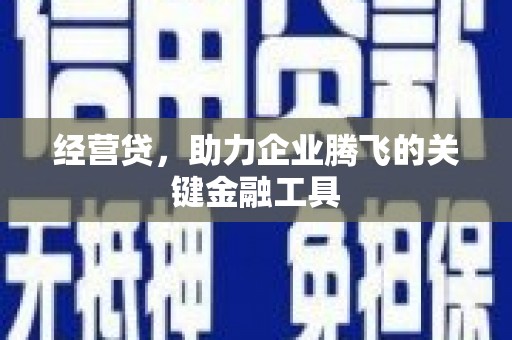 西林经营贷，助力企业腾飞的关键金融工具