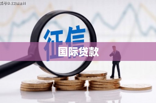 西林国际贷款