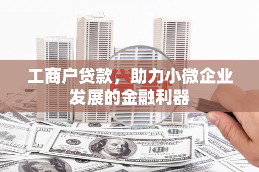 西林工商户贷款，助力小微企业发展的金融利器