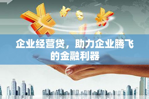 西林企业经营贷，助力企业腾飞的金融利器