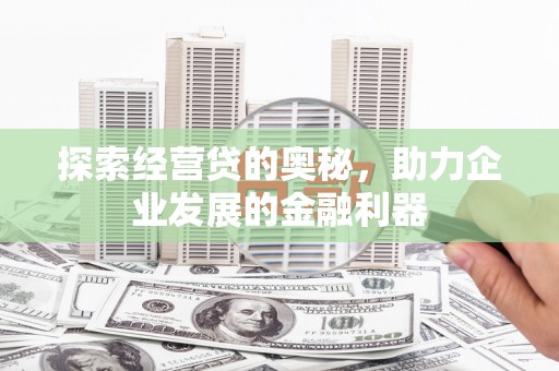西林探索经营贷的奥秘，助力企业发展的金融利器