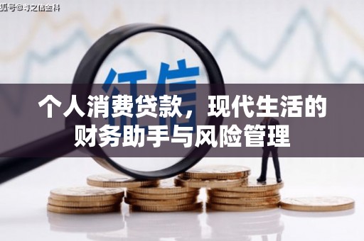 西林个人消费贷款，现代生活的财务助手与风险管理